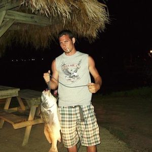 Profile Picture of William Man (@william8319) on Myspace