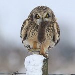 Hazel Meier - Instagram Profile Picture of Hazel Meier (@hazelmeier) on Instagram