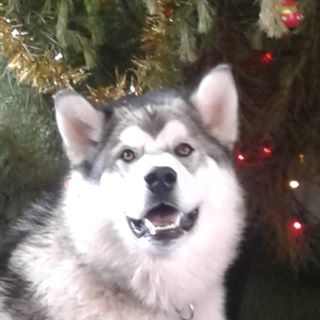 Profile Picture of Marie Sinclair (@marie.sinclair.98) on Facebook