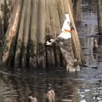 Profile Picture of Jeff Nanney (@jeff.nanney.503) on Facebook