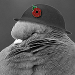 Profile Picture of jonathanclark (@jonathanclark) on Flickr