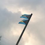 Profile Picture of Ari Ryan Burrows (@whoknows_811) on Instagram