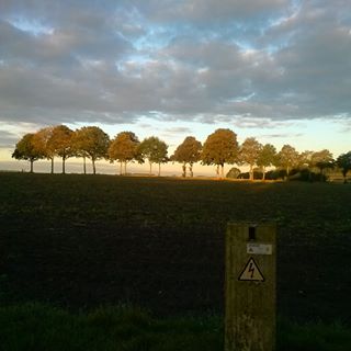 Anke Riedemann - Facebook Profile Picture of Anke Riedemann (@anke.riedemann.5) on Facebook