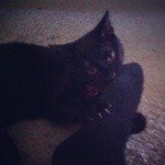 Profile Picture of RICHARD (@24nobilebufroni) on Instagram