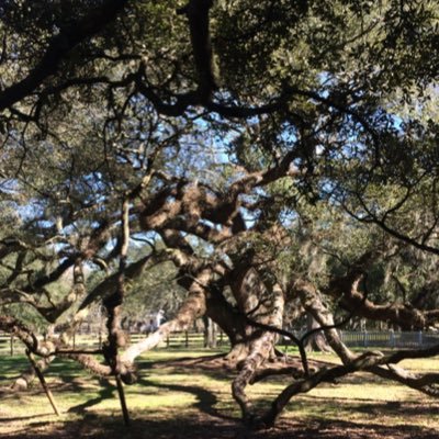 Profile Picture of Matthew Hyatt (@MHyatt92) on Twitter