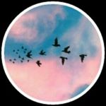 Profile Picture of essence danker-allen (@the_heart_speaks_) on Instagram