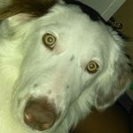 Profile Picture of Ariel haynes (@arielkeyera) on Instagram