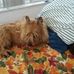 Profile Picture of Barbara Murch (@barbara.murch.56) on Facebook