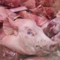 Profile Picture of Alex Bacon (@alex-bacon-47) on Quora