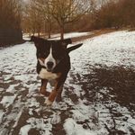 Profile Picture of Michael Eifler (@micky_eifler) on Instagram