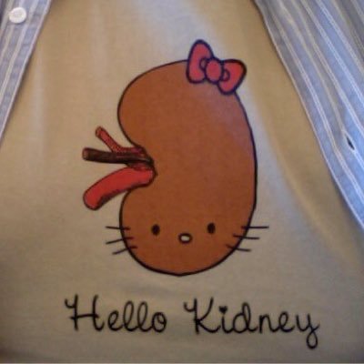Profile Picture of Jim Moriarty (@HotKidneyAction) on Twitter