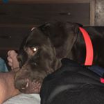 Profile Picture of Nathan wetzel (@nathanwetzel03) on Instagram