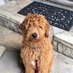 Profile Picture of Kate Sands (@kate_elizabethsands) on Instagram