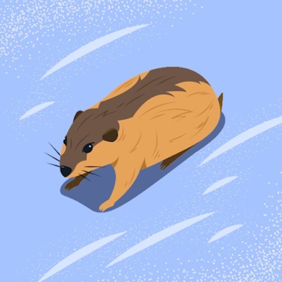 Corey Jefferson - Poshmark Profile Picture of Corey Jefferson (@coreyjeffers773) on Poshmark