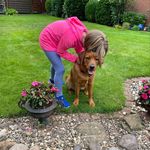 Denise Kasten - Instagram Profile Picture of Denise Kasten (@nisika04) on Instagram