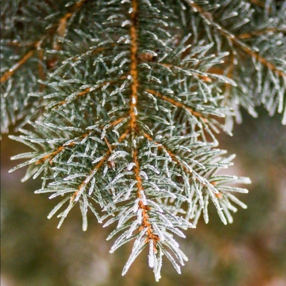 Profile Picture of Abbie Jarman (@abbiemjar31) on Poshmark