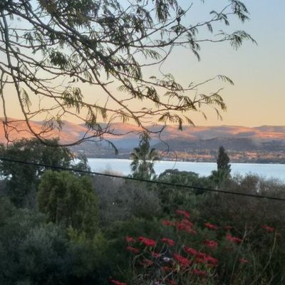 Profile Picture of Robert Holgate (@RobertHolgate) on Twitter