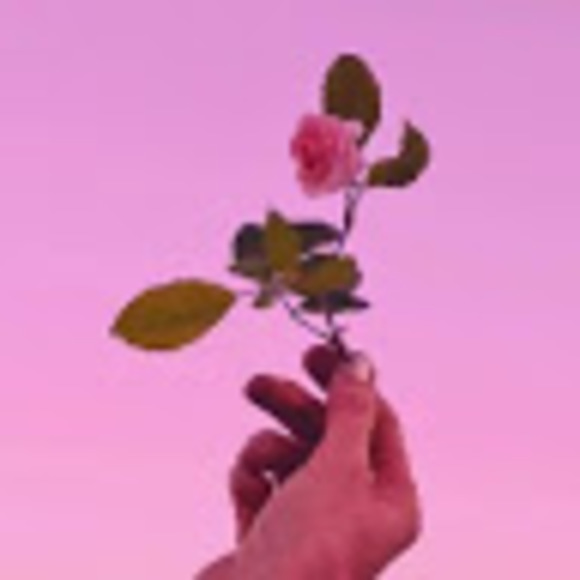 Profile Picture of Harshika Sasiharan (@hsasiharan) on Poshmark