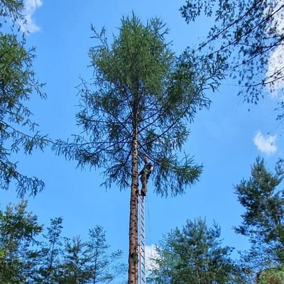 Profile Picture of René Visser (@ReneVisser_nl) on Twitter