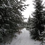 Profile Picture of сергей тутукин (@tutukinsergei) on Instagram