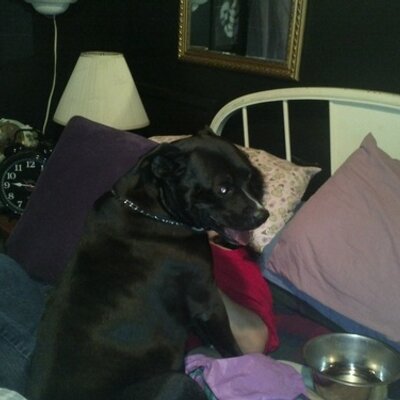 Dh - Twitter Profile Picture of Dh (@DavidHinchman1) on Twitter