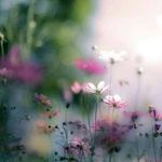 Profile Picture of Kimmie Klein Andrews (@kimmiekleinandrews) on Instagram