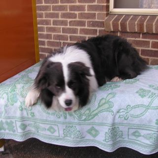 Profile Picture of Keith Phillip (@keith.phillip.906) on Facebook