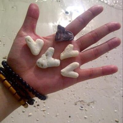 Profile Picture of Sam Constantino (@samconstantino2) on Twitter