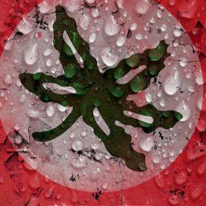 Profile Picture of Scott Nafzger (@scott.nafzger) on Tiktok