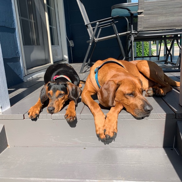 Profile Picture of Sarah Neavin (@sneavin) on Poshmark