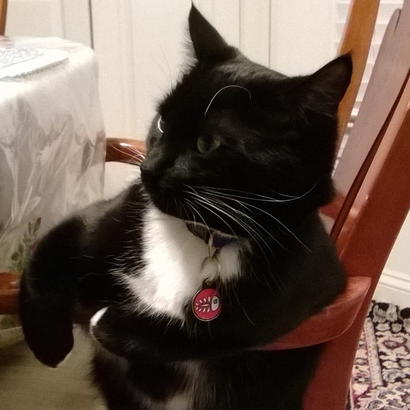 Profile Picture of James Trigger (@jamesyoo1) on Poshmark