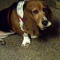 Profile Picture of Tina Murdock (@tina-murdock-4) on Quora