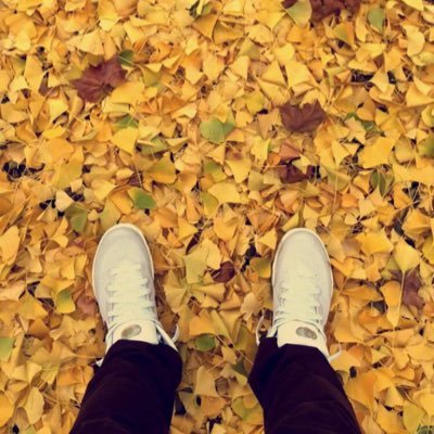 Profile Picture of Anson Chu (@ansonvav13) on Twitter