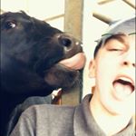 Profile Picture of Harvey Heaps (@harveyheaps1) on Instagram