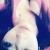 Profile Picture of Tzu-hsiang Liao (@377987354) on Myspace