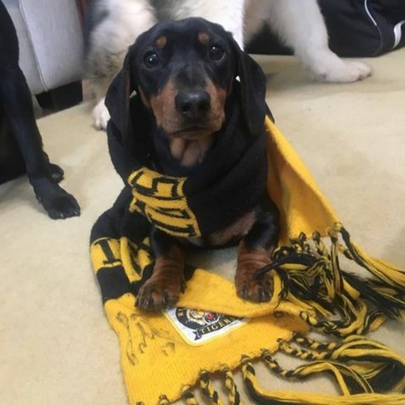 Profile Picture of Elizabeth Rundle (@lizrundle13) on Poshmark