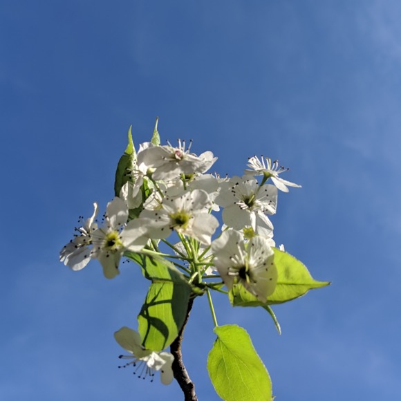 Profile Picture of El Smith (@elsmith4) on Poshmark