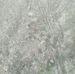 Profile Picture of Dhara Singh (@Dhara-Singh) on Facebook