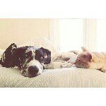 Profile Picture of benjamin.jerse (@benjamin.jerse) on Instagram