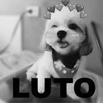 Profile Picture of Mike (@mike.goncalves_) on Instagram