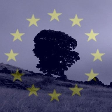 Profile Picture of Chris Wyatt  🇪🇺 (@schnittwyatt) on Twitter