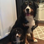 Profile Picture of C & C Massey (@captain_and_carly_) on Instagram