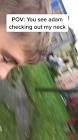 Profile Picture of   Tom (@tom.cheeseman) TikTok... (@tom.cheeseman) on Tiktok