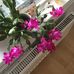 Profile Picture of Tuula Tuula (@tuula.tuula.77) on Facebook