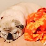 Profile Picture of Billy Gresham (@greshambilly) on Instagram