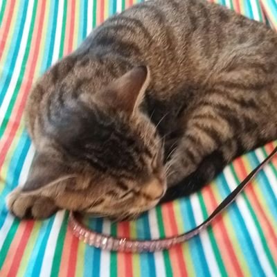 Profile Picture of Ruth Luque (@Ruthluque2) on Twitter