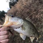 Profile Picture of Justin Epperson (@justin_epperson70) on Instagram