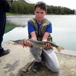 Profile Picture of Jason Foessel (@foesseljason) on Instagram