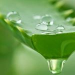 Profile Picture of norah joseph (@matronafrank20182019) on Instagram