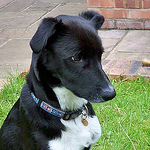 Profile Picture of Mark Gorman (@days in a life) on Flickr